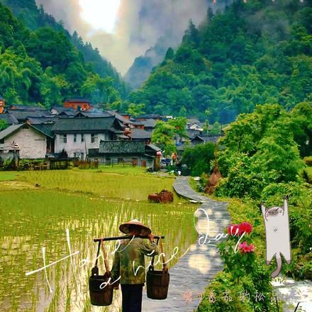 外公家的花园