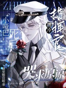小哑巴女主