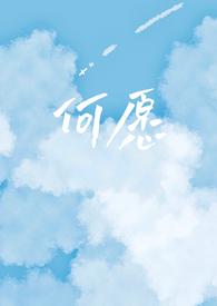 何愿乡村小城番外