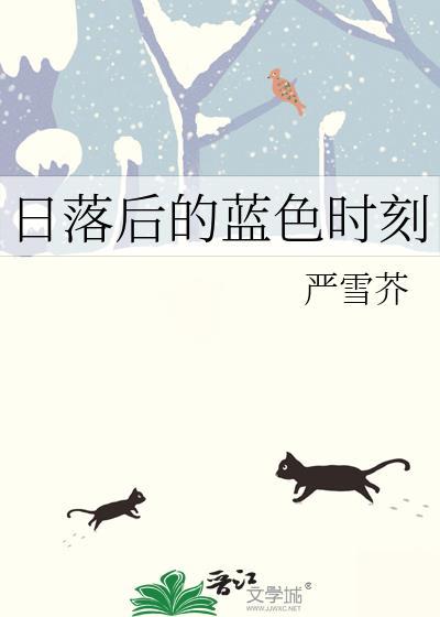 日落后的蓝色时刻好看吗