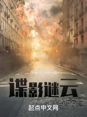 谍影谜云百度txt