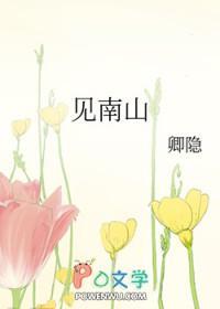 我见南山广播剧