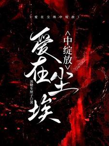 爱在尘埃外作者杜水水