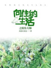 向往的生活之娱乐宗师