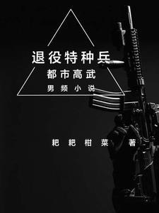 特种兵退役攻