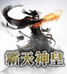 无上至尊电影