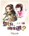 驸马啷个
