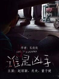 谁是凶手沈海洋被发现哪集