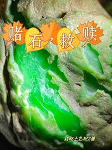 毛料是什么意思