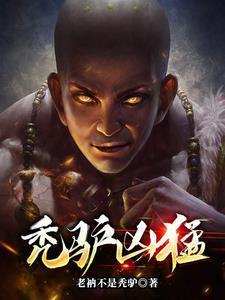 秃驴是什么意思啊
