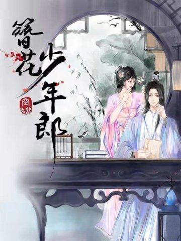 簪花少年郎讲的什么故事