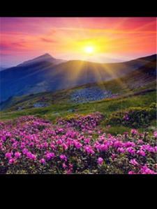 夕阳醉了歌词什么意思