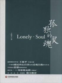 孤独的灵魂歌曲完整版