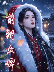 前朝女婢讲诉什么故事