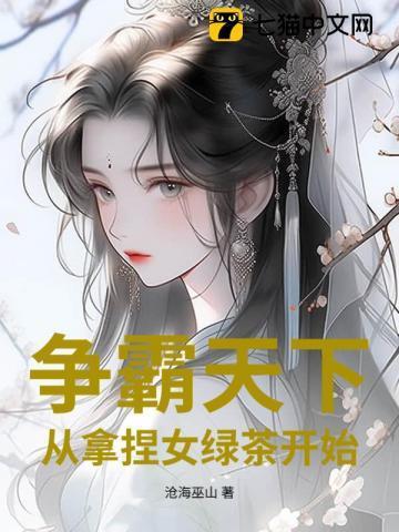 争霸天下 顶点