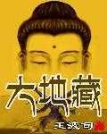 大地藏元时代房价