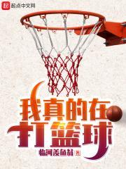 我真的在打篮球txt