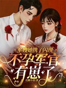 穿书军嫂怀孕