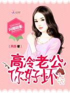 闪婚甜妻高冷老公晚上约免费阅读