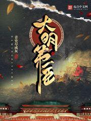 大明第一臣精校版txt