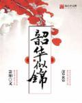 韶华似锦人物关系介绍