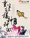 重生红楼完结推荐