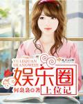 1.上位(娱乐圈)
