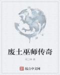 废土巫师TXT