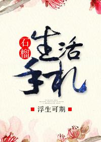 石榴生活手札全文免费阅读