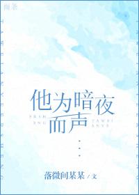 他暗夜而声TXT资源