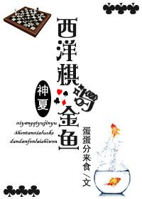 西洋棋书籍