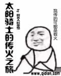 太阳骑士图