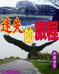 迷失旅程的猫全部攻略