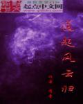 政道风云全集