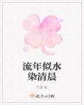 流年似水解释