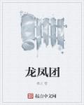 龙凤团茶属于什么档次