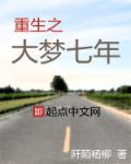 重生之大梦七年百度