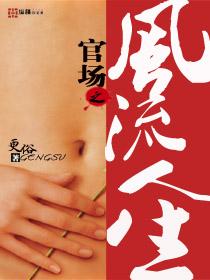 官场之风流人生完整版
