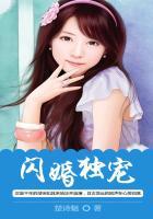闪婚独宠免费