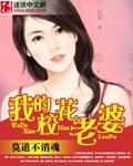 邻家美姨全文阅读免费