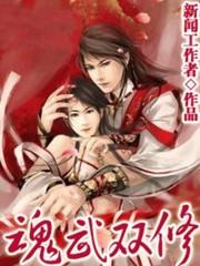 武魂双修百科