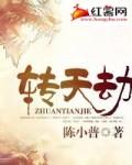 转天劫多少字