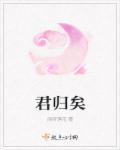 君归矣起点中文网