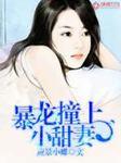 军宠暴龙撞上小甜妻