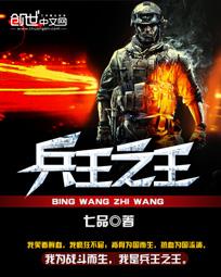 兵王之王全集免费