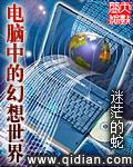 电脑中的幻想世界起点中文网
