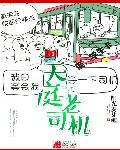 老司机停车