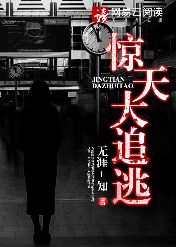 惊天大贼王国语高清在线播放