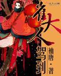 崔大人驾到全文免费