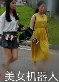 美女机器人哪里有卖的价值多少钱